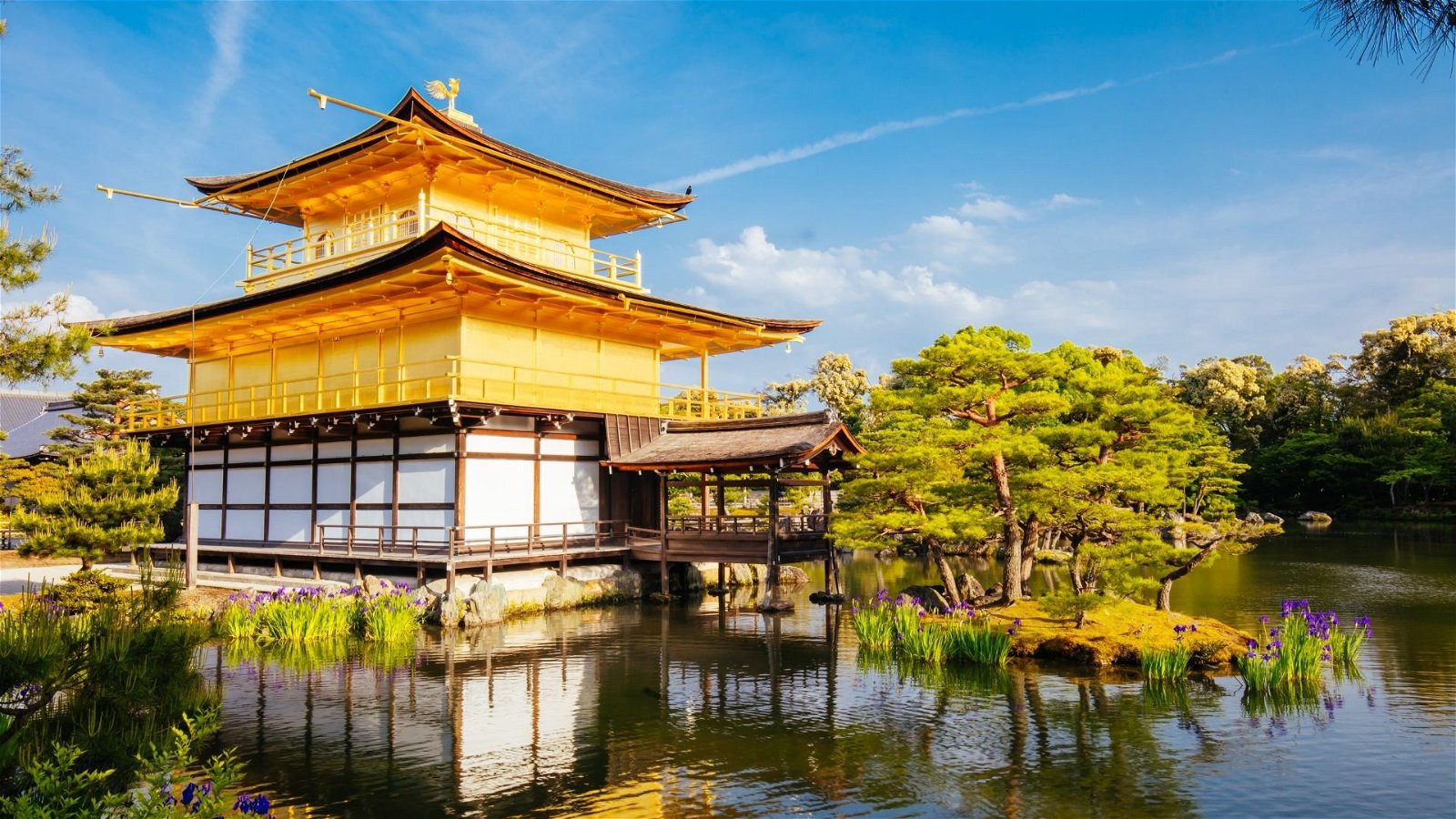 ทัวร์ญี่ปุ่น โอซาก้า ยอดขายอันดับ 1 | Mushroom Travel